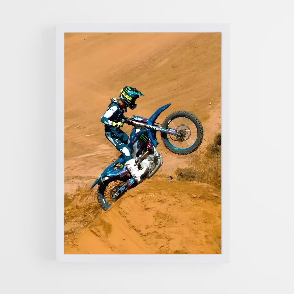 Poster Freestyle Rider – affiche Motocross freestyle (vue 3)